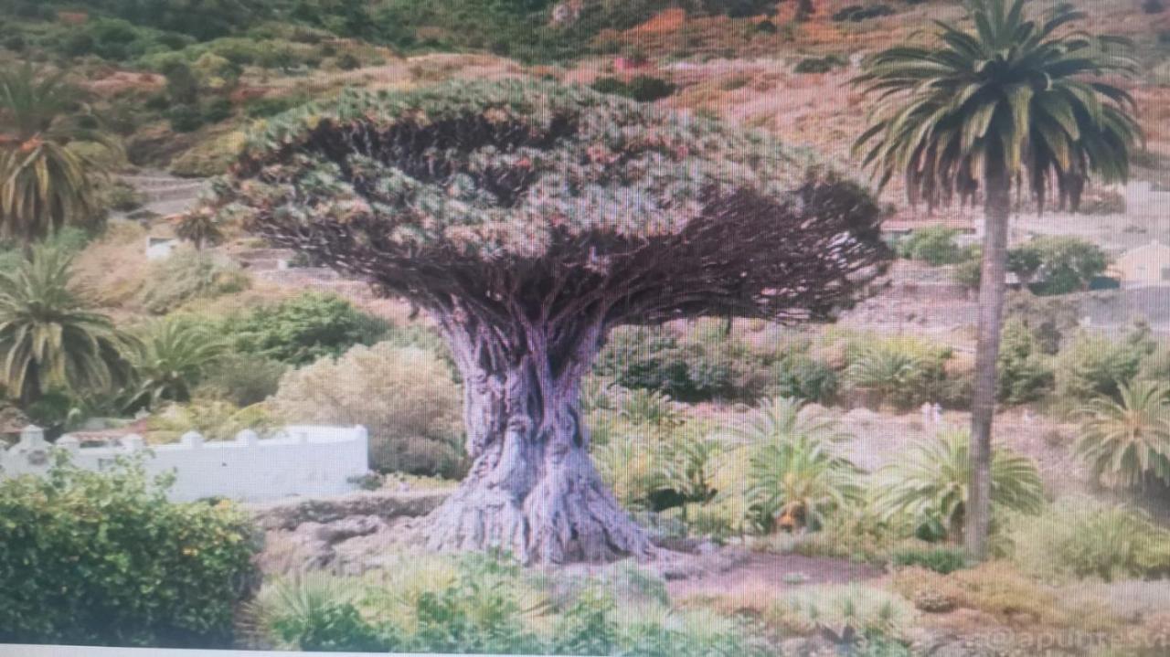 Tradicional Casa Canaria Con Piscina Y Vistas Al Teide Icod De Los Vinos Esterno foto